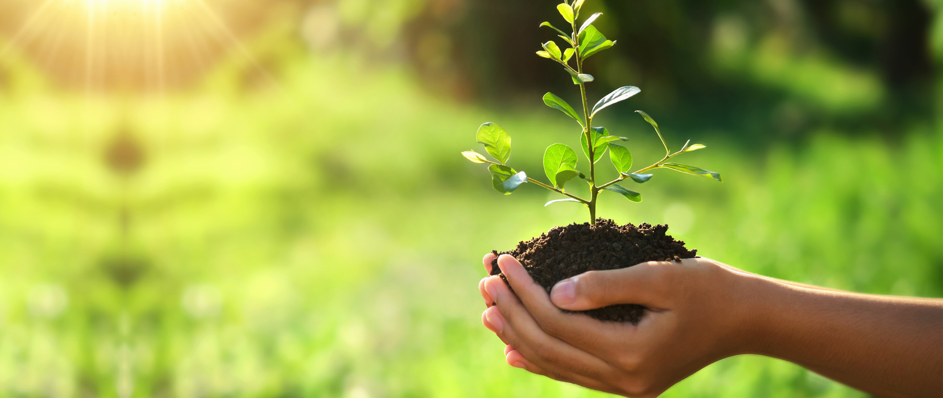 Fuel Gas Incinerators